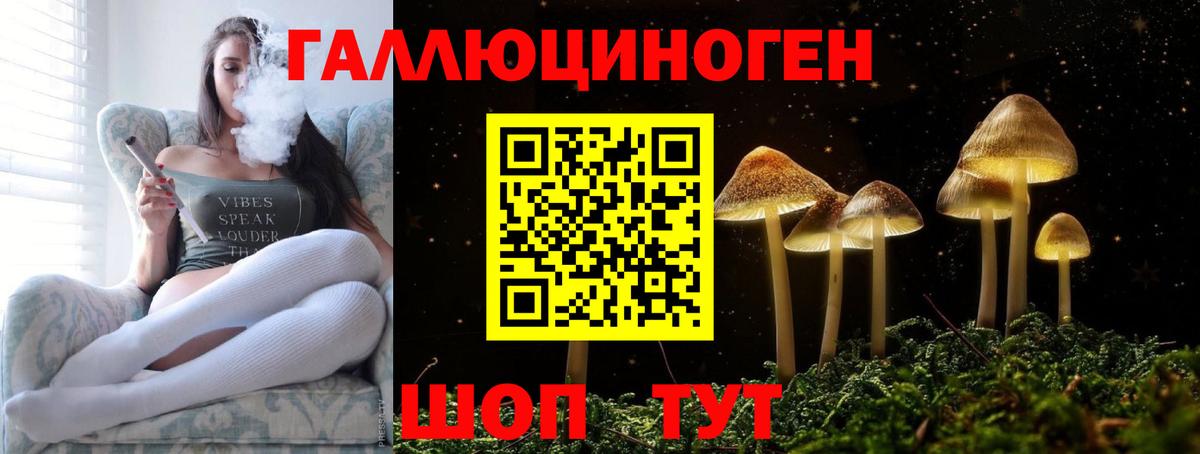 Кашира  Псилоцибиновые грибы Magic Shrooms  Псилоцибиновые грибы Psilocybe  Вход с VPN 